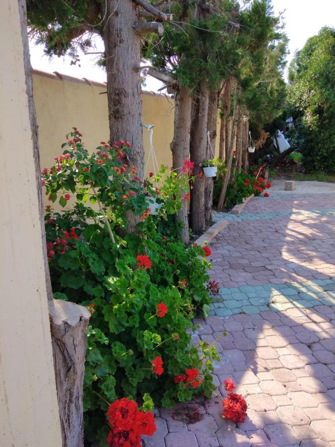 Appartamento In Orosei In Villa Delle Arance 300Mt Dalla Spiaggia Екстериор снимка